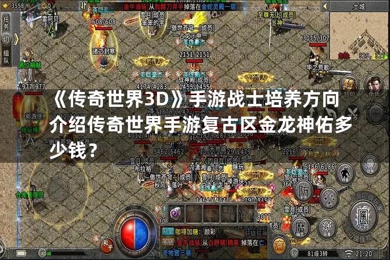 《传奇世界3D》手游战士培养方向介绍传奇世界手游复古区金龙神佑多少钱？