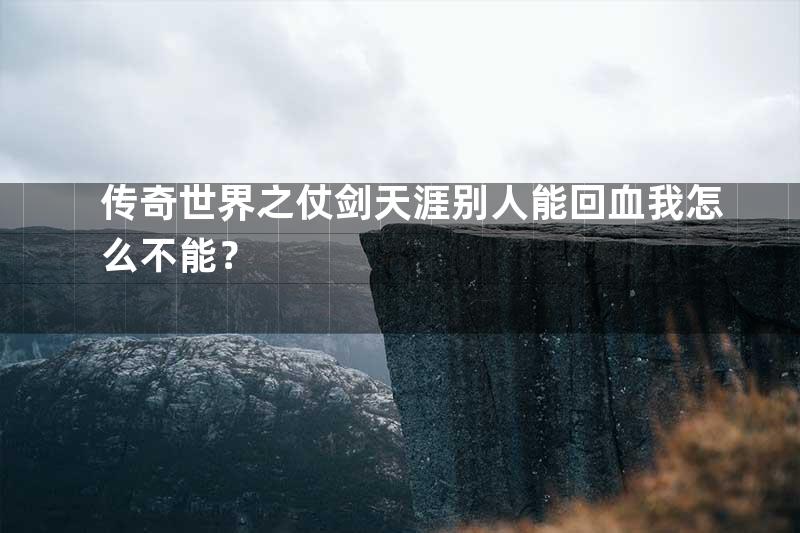 传奇世界之仗剑天涯别人能回血我怎么不能？