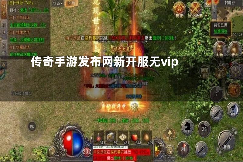 传奇手游发布网新开服无vip