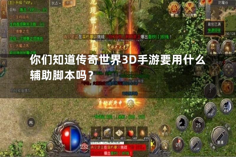 你们知道传奇世界3D手游要用什么辅助脚本吗？