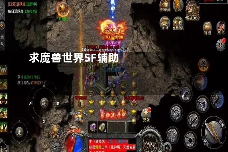 求魔兽世界SF辅助