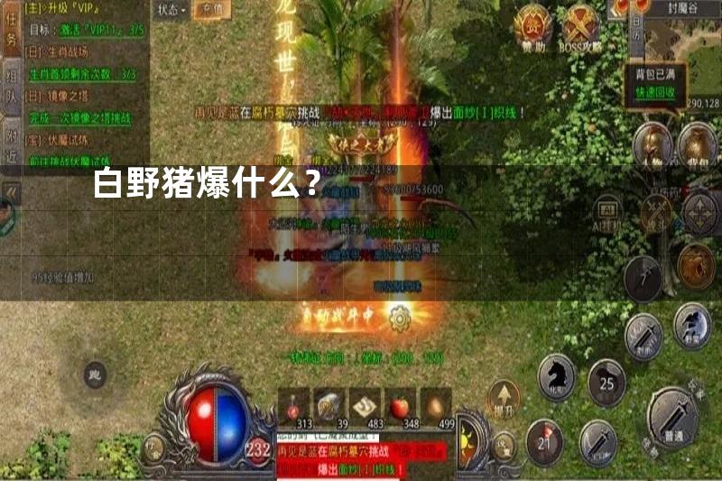 白野猪爆什么？