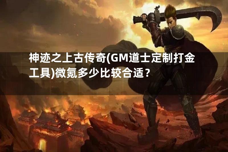 神迹之上古传奇(GM道士定制打金工具)微氪多少比较合适？