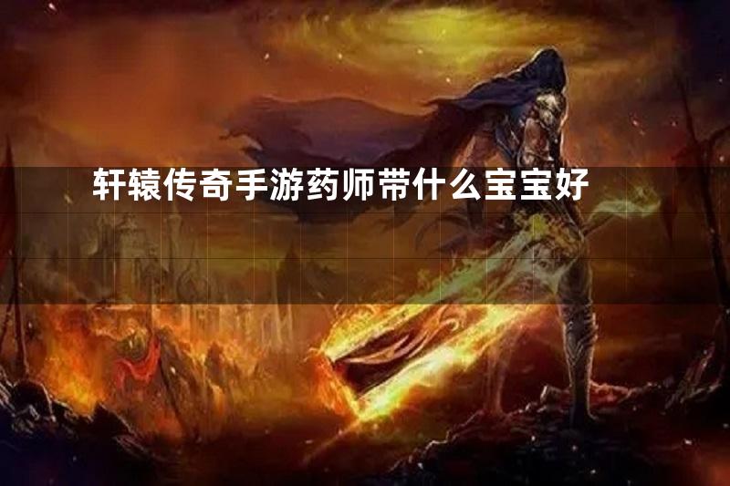 轩辕传奇手游药师带什么宝宝好